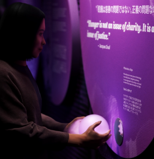 Visitor's Experience Preview 